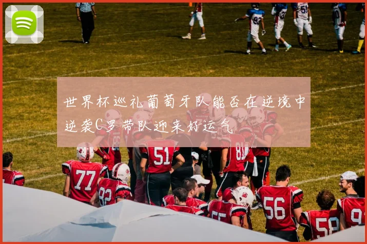 世界杯巡礼葡萄牙队能否在逆境中逆袭C罗带队迎来好运气